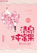 清泉炖蜜果
