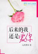 后来的我还是爱你